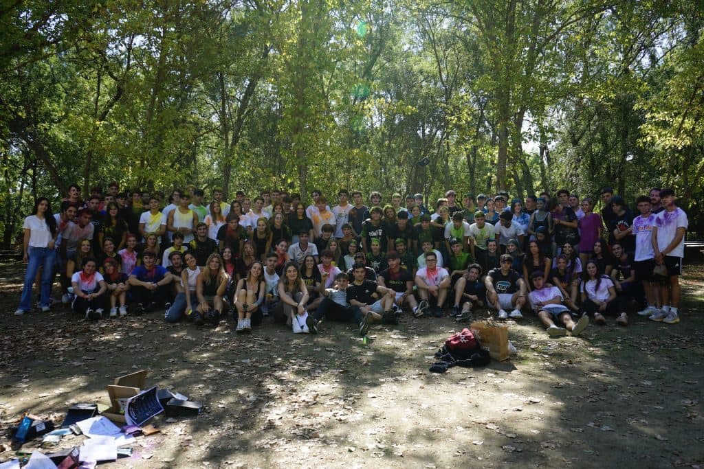 Forest & Back